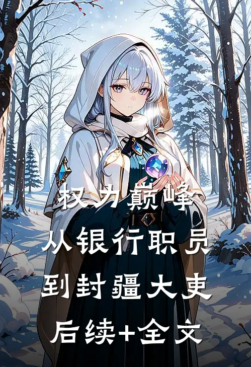 权力巅峰：从银行职员到封疆大吏后续+全文