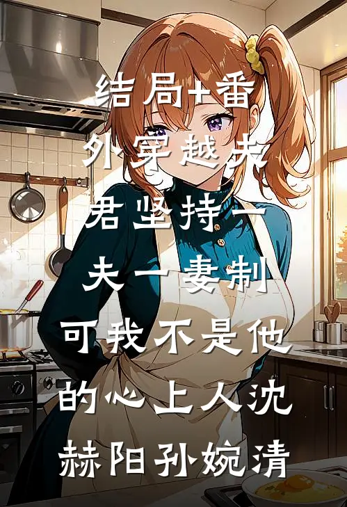结局+番外穿越夫君坚持一夫一妻制，可我不是他的心上人沈赫阳孙婉清