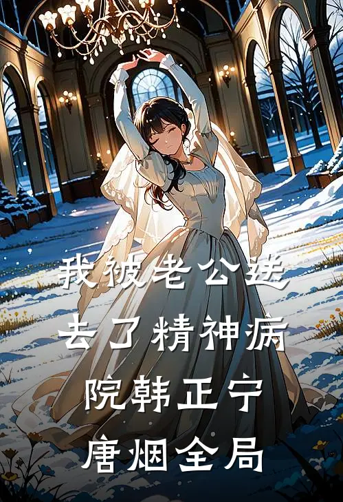 我被老公送去了精神病院韩正宁唐烟全局