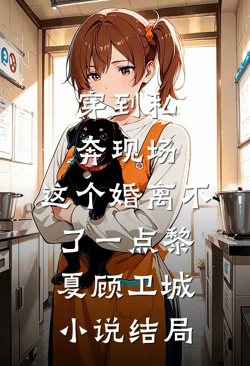 穿到私奔现场，这个婚离不了一点黎夏顾卫城小说结局