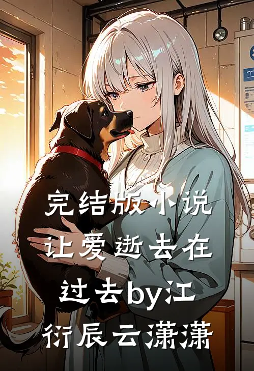 完结版小说让爱逝去在过去by江衍辰云潇潇