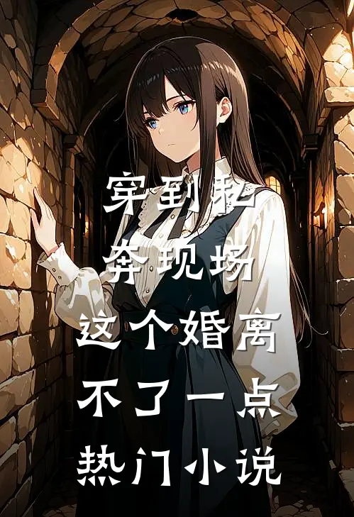 穿到私奔现场，这个婚离不了一点热门小说