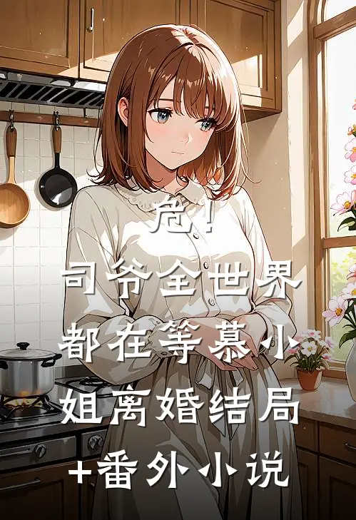 危！司爷，全世界都在等慕小姐离婚结局+番外小说
