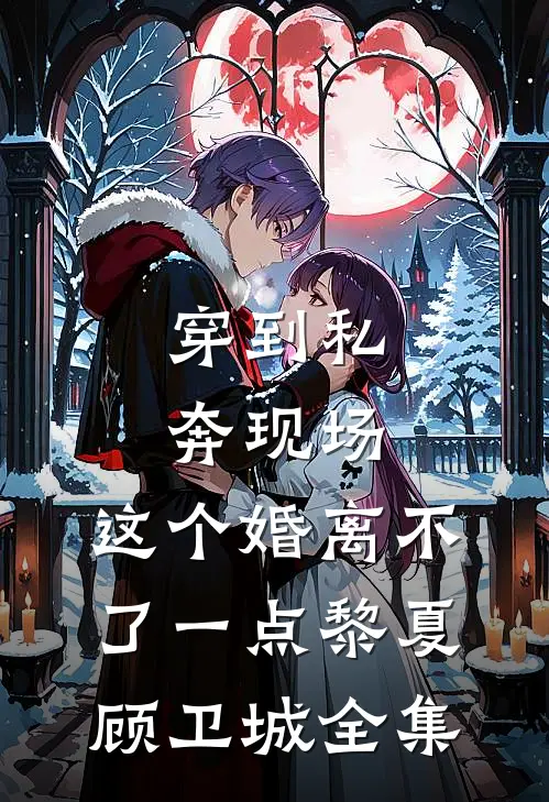 穿到私奔现场，这个婚离不了一点黎夏顾卫城全集