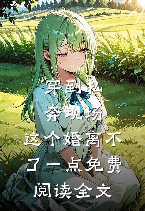 穿到私奔现场，这个婚离不了一点免费阅读全文