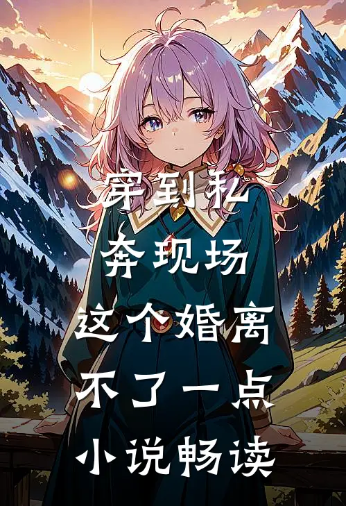穿到私奔现场，这个婚离不了一点小说畅读