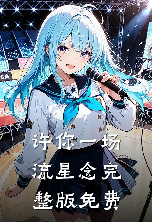 许你一场流星念完整版免费