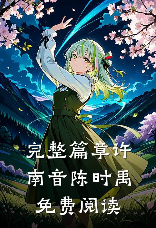 完整篇章许南音陈时禹免费阅读