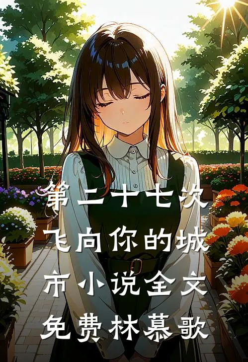 第二十七次飞向你的城市小说全文免费林慕歌