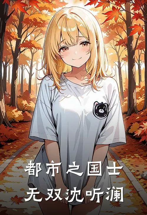 都市之国士无双沈听澜