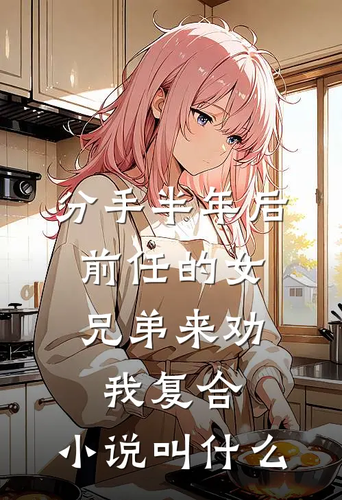 分手半年后，前任的女兄弟来劝我复合。小说叫什么