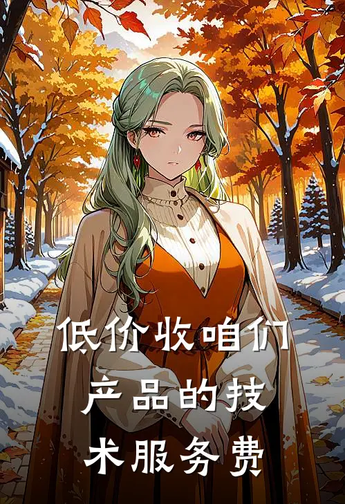 低价收咱们产品的技术服务费