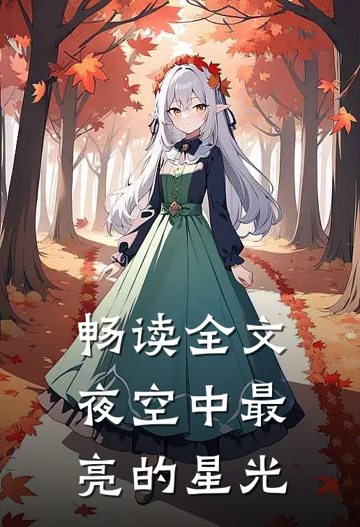 畅读全文夜空中最亮的星光