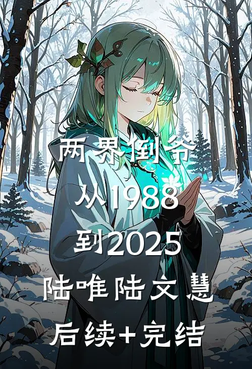 两界倒爷：从1988到2025陆唯陆文慧后续+完结