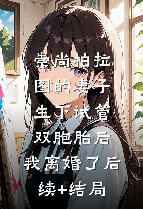 崇尚柏拉图的妻子生下试管双胞胎后，我离婚了后续+结局