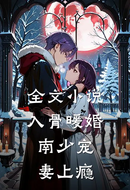 全文小说入骨暖婚：南少宠妻上瘾