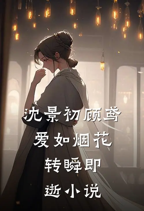 沈景初顾鸢爱如烟花，转瞬即逝小说
