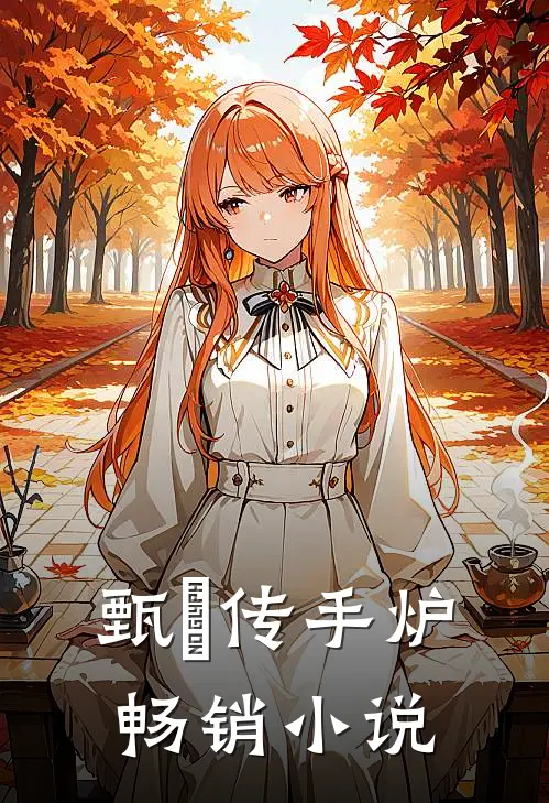 甄嬛传手炉畅销小说