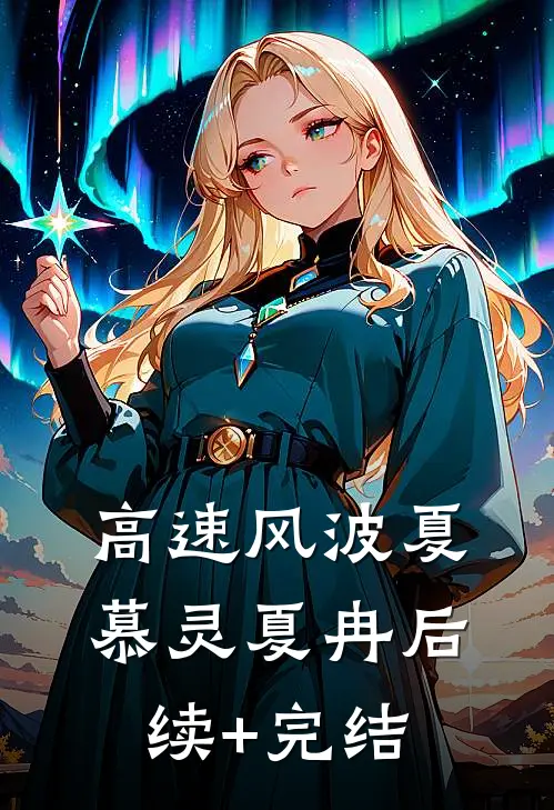 高速风波夏慕灵夏冉后续+完结