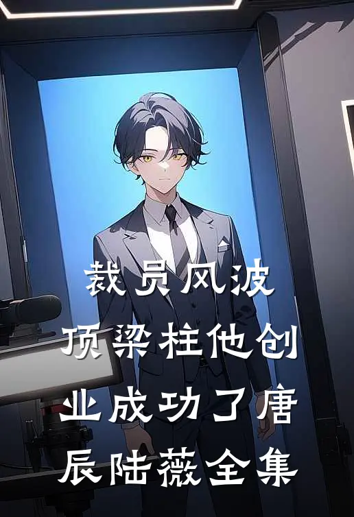 裁员风波：顶梁柱他创业成功了唐辰陆薇全集
