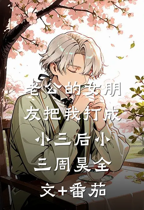 老公的女朋友把我打成小三后小三周昊全文+番茄