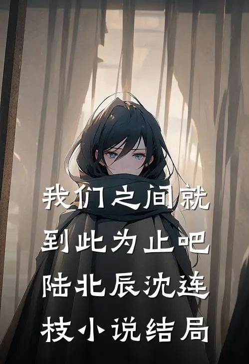 我们之间就到此为止吧陆北辰沈连枝小说结局