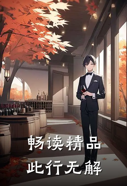 畅读精品此行无解