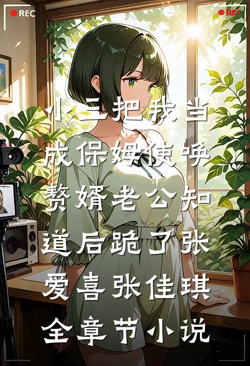 小三把我当成保姆使唤，赘婿老公知道后跪了张爱喜张佳琪全章节小说