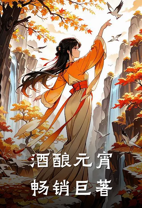 酒酿元宵畅销巨著