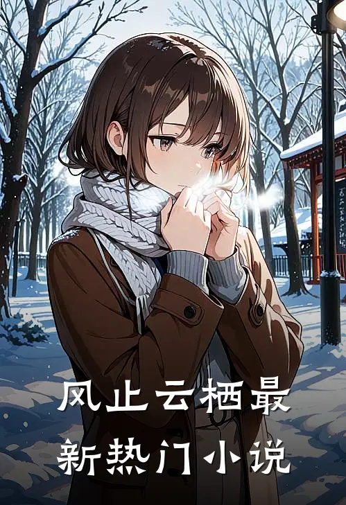 风止云栖最新热门小说