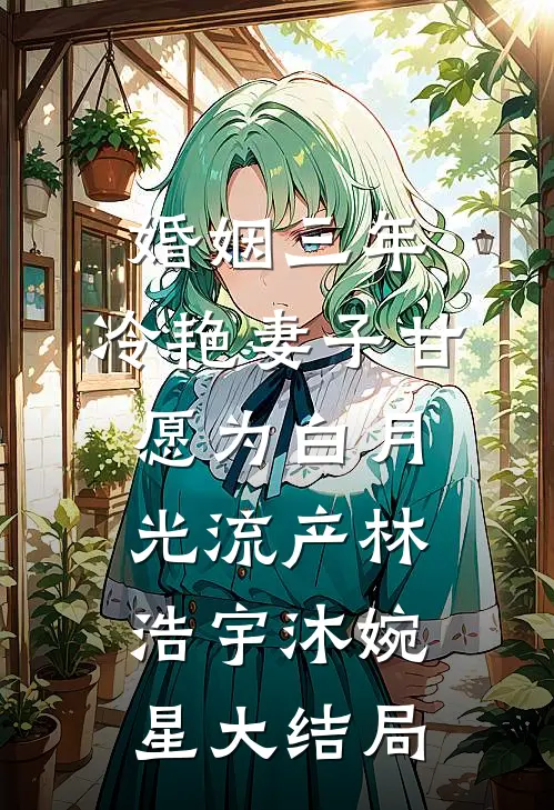 婚姻三年，冷艳妻子甘愿为白月光流产林浩宇沐婉星大结局
