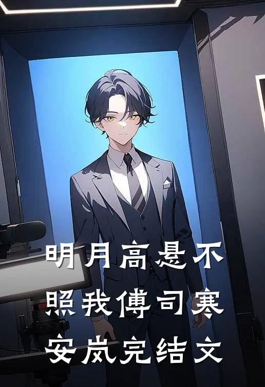 明月高悬不照我傅司寒安岚完结文
