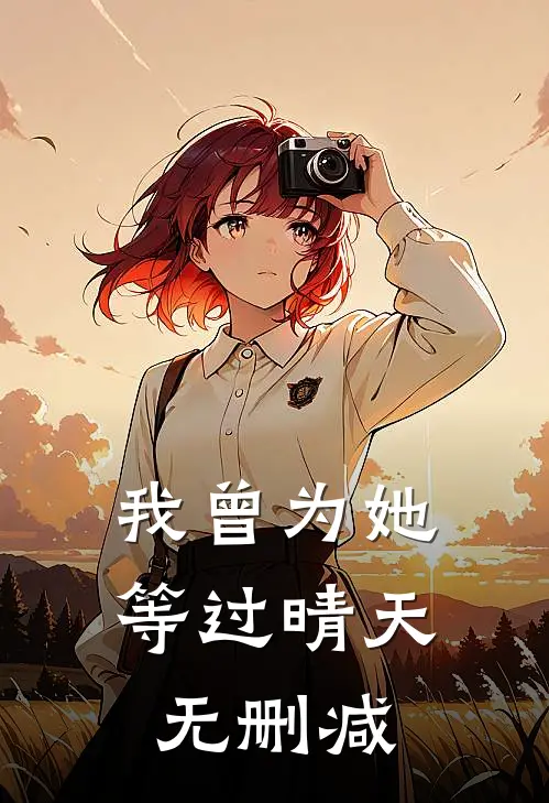 我曾为她等过晴天无删减