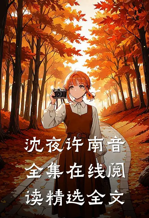 沈夜许南音全集在线阅读精选全文