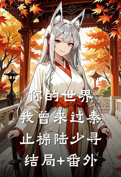 你的世界，我曾来过秦止棉陆少寻结局+番外