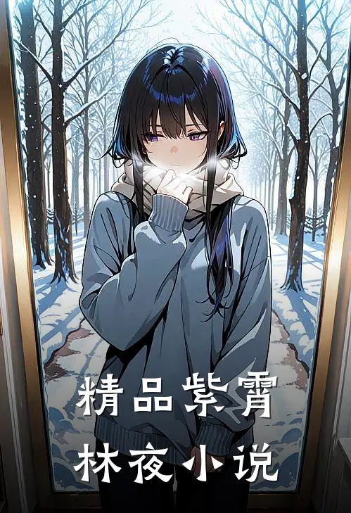精品紫霄林夜小说