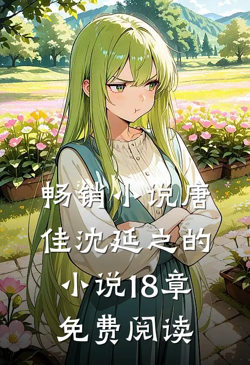 畅销小说唐佳沈延之的小说18章免费阅读