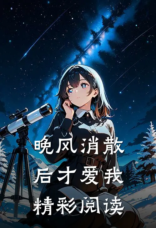 晚风消散后才爱我精彩阅读