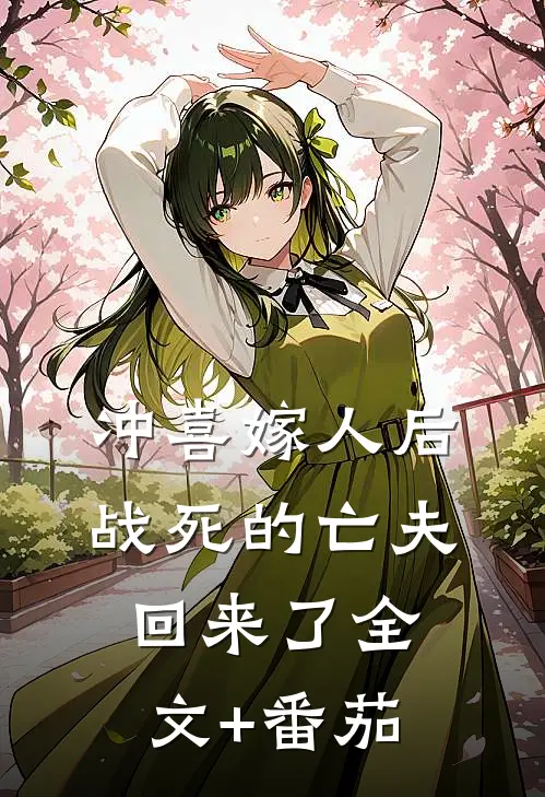 冲喜嫁人后，战死的亡夫回来了全文+番茄