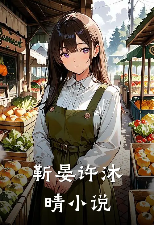 靳晏许沐晴小说