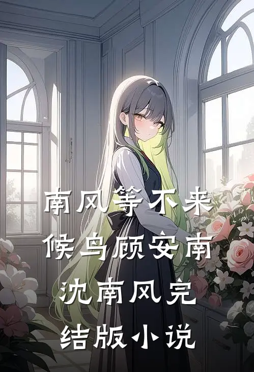 南风等不来候鸟顾安南沈南风完结版小说