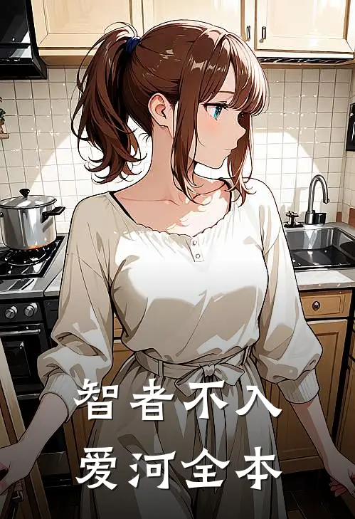 智者不入爱河全本