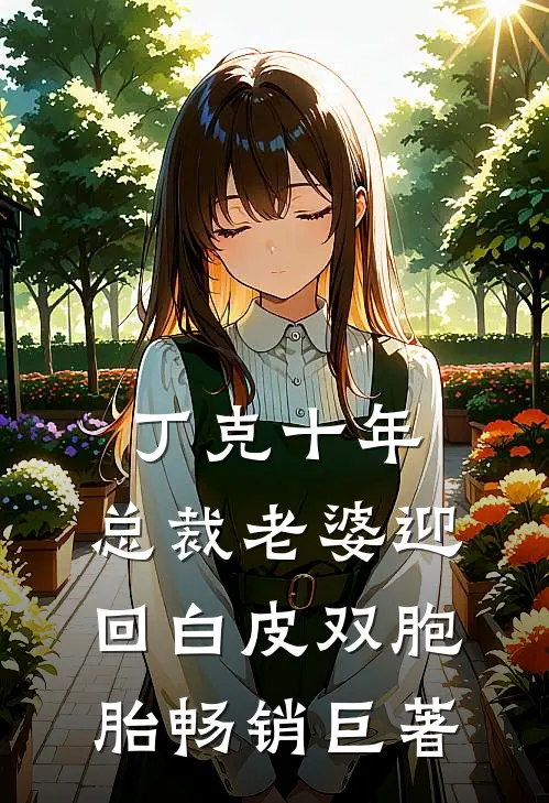 丁克十年，总裁老婆迎回白皮双胞胎畅销巨著