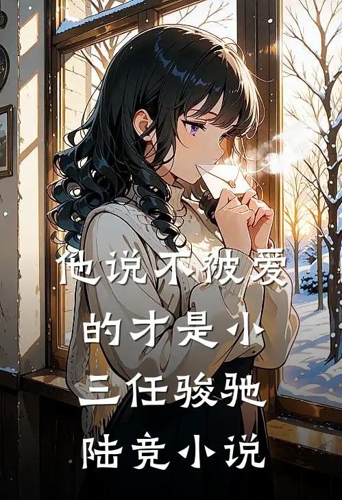 他说不被爱的才是小三任骏驰陆竞小说