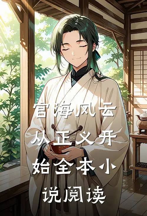 官海风云：从正义开始全本小说阅读