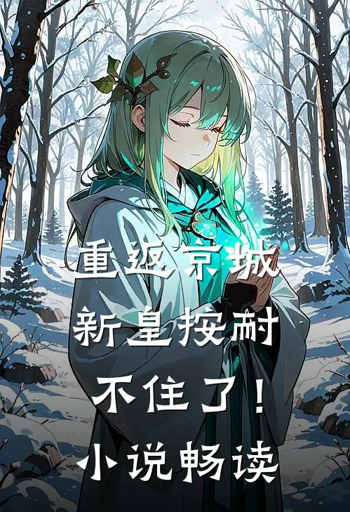 重返京城，新皇按耐不住了！小说畅读