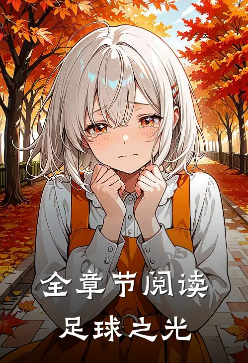 全章节阅读足球之光