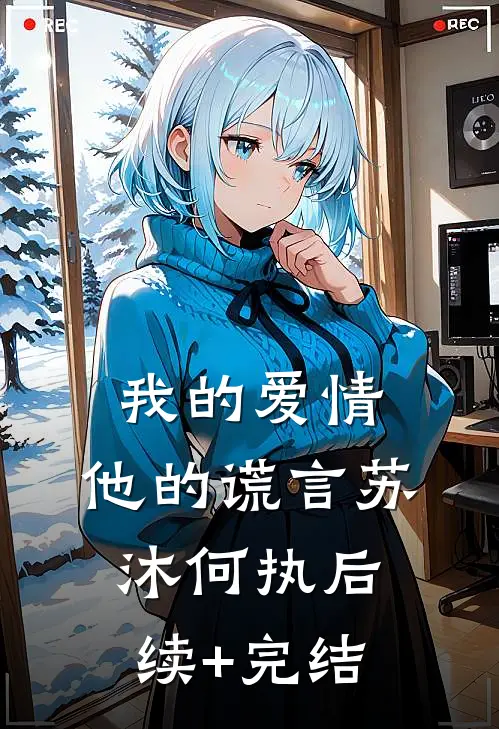我的爱情，他的谎言苏沐何执后续+完结