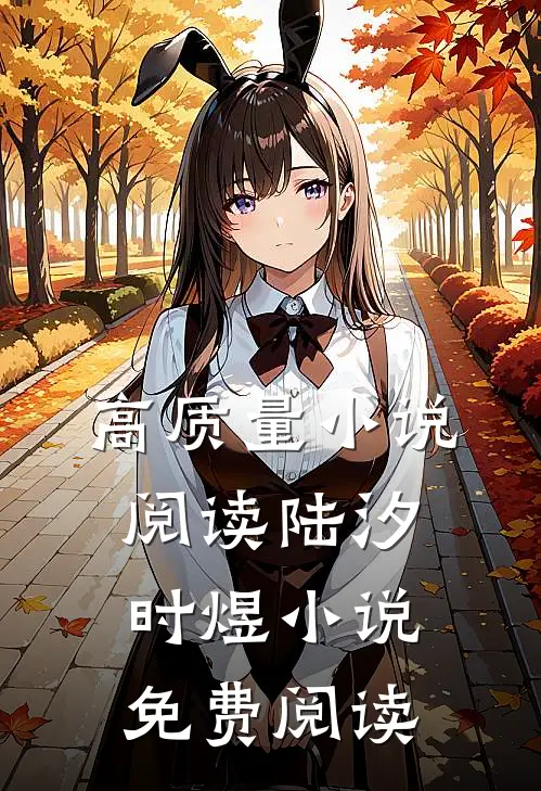 高质量小说阅读陆汐时煜小说免费阅读