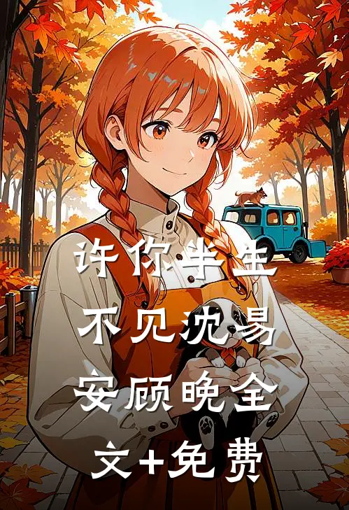 许你半生不见沈易安顾晚全文+免费